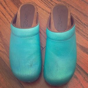 Shoooz Teal Wooden Clogs